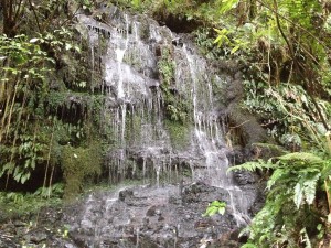 Slope Point - Nugget Point Lighthouse-017